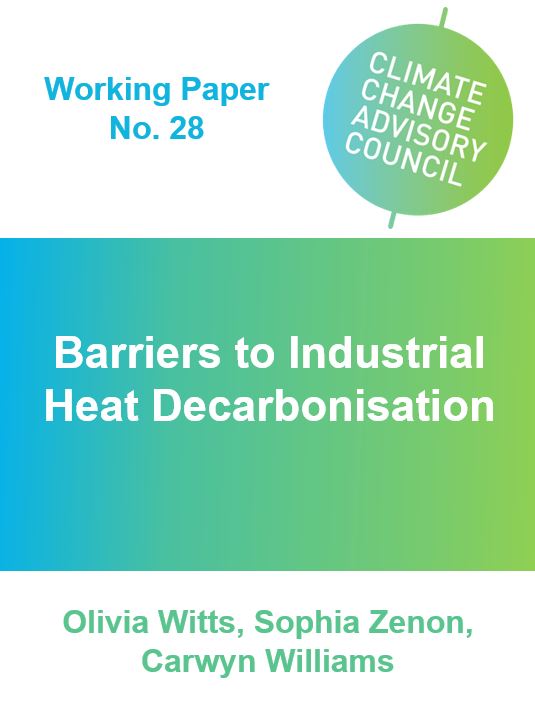 Working Paper No. 28: Barriers to Industrial Heat Decarbonisation
